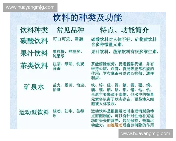 体能测试全面解析与科学方法探讨助力提升运动表现与健康水平 体能测试全面解析与科学方法探讨助力提升运动表现与健康水平