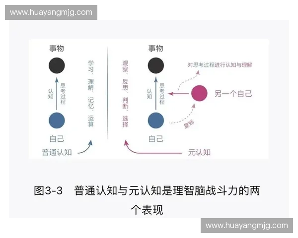 以跨界思维与多元认知为路径持续开阔视野的时代探索面向全球格局与创新成长