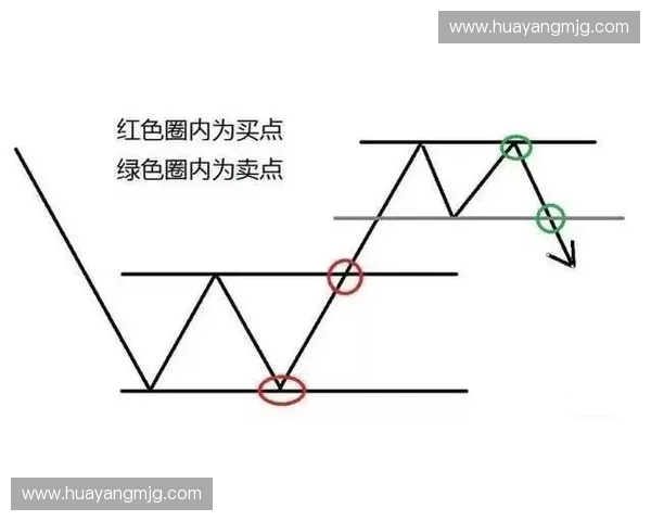直线扣杀技术解析与实战应用技巧全面指南 直线扣杀技术解析与实战应用技巧全面指南